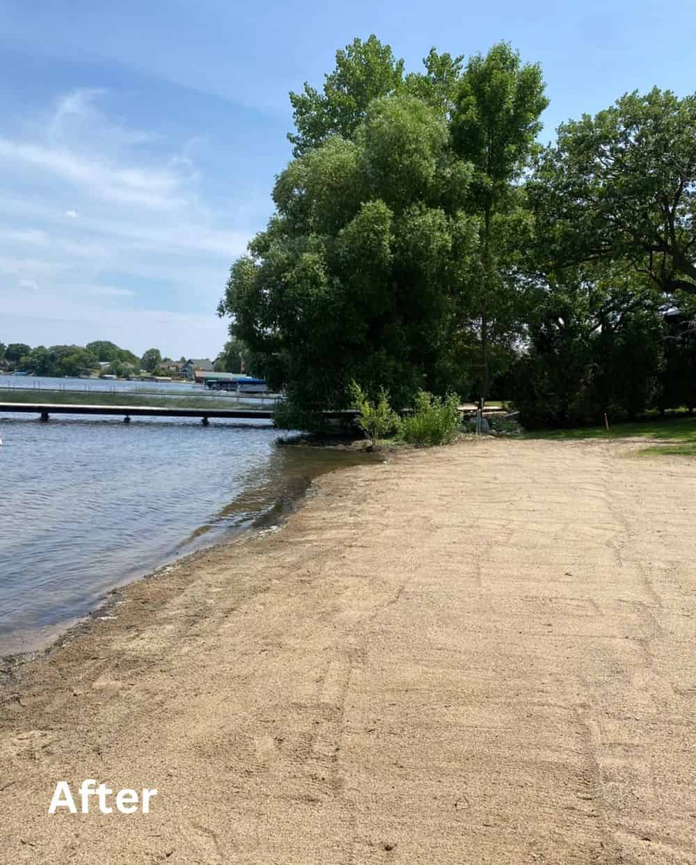 Beach Cleanup image