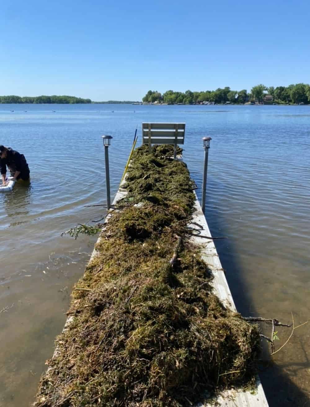 Lakeweed Removal image