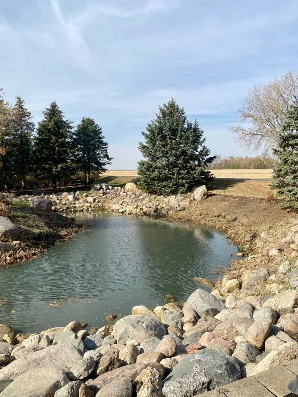 Lakeshore Restoration image