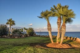 Commitment to Sustainability's image